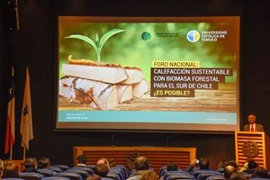 Prensa UC Temuco » Expertos analizan el tema de la calefacción sustentable con biomasa forestal