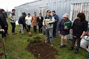 Prensa UC Temuco » Vecinos crearon sus propios huertos urbanos en el sector Fundo El Carmen