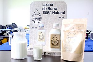 Prensa UC Temuco » Investigadores UC Temuco lideran proyecto para la producción de leche de burra
