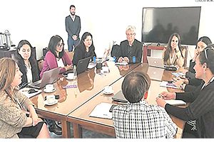 Prensa UC Temuco » Decana Cabrolié participa en reunión de Red de Universidades por la Infancia