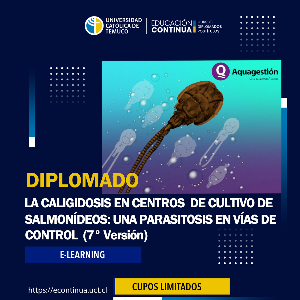 DIPLOMADO E-LEARNING “LA CALIGIDOSIS EN CENTROS DE CULTIVO DE SALMONIDEOS: UNA PARASITOSIS EN VIAS DE CONTROL”