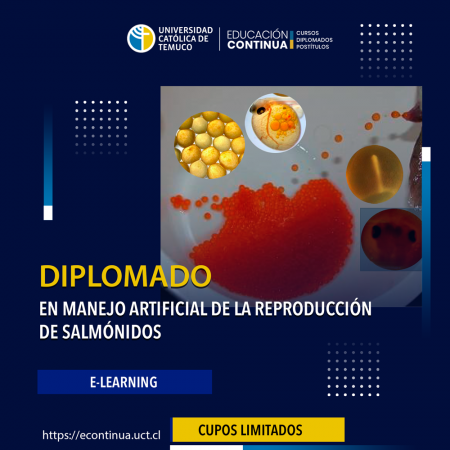 DIPLOMADO E-LEARNING “LA CALIGIDOSIS EN CENTROS DE CULTIVO DE SALMONIDEOS: UNA PARASITOSIS EN VIAS DE CONTROL”