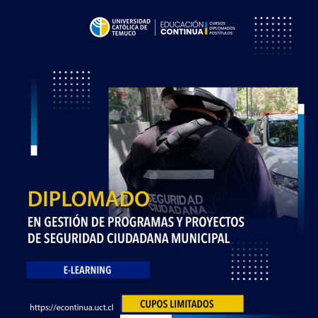 DIPLOMADO EN GESTIÓN DE PROGRAMAS Y PROYECTOS DE SEGURIDAD CIUDADANA MUNICIPAL