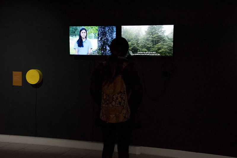 Inauguran exposición “Árboles Torcidos” en la Galería de Arte UCT > UCT
